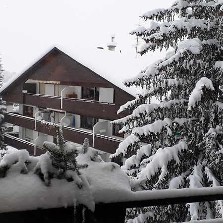 Apartment A'Horn Sankt Johann in Tirol Luaran gambar